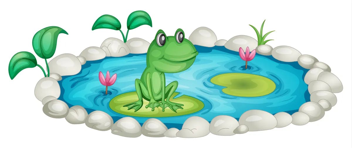 frog in a pond